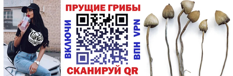 Галлюциногенные грибы прущие грибы Татарск
